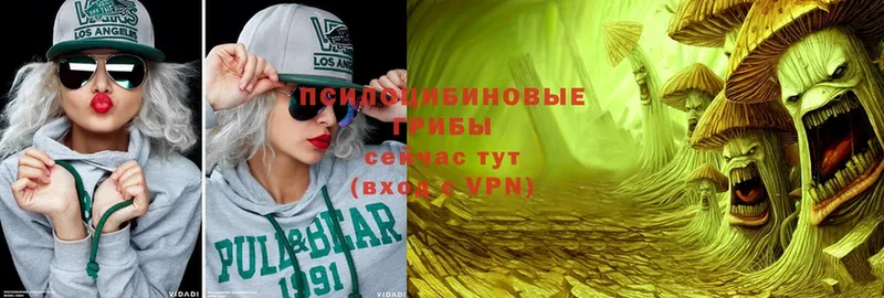 Галлюциногенные грибы мухоморы  hydra ссылка  Зима 